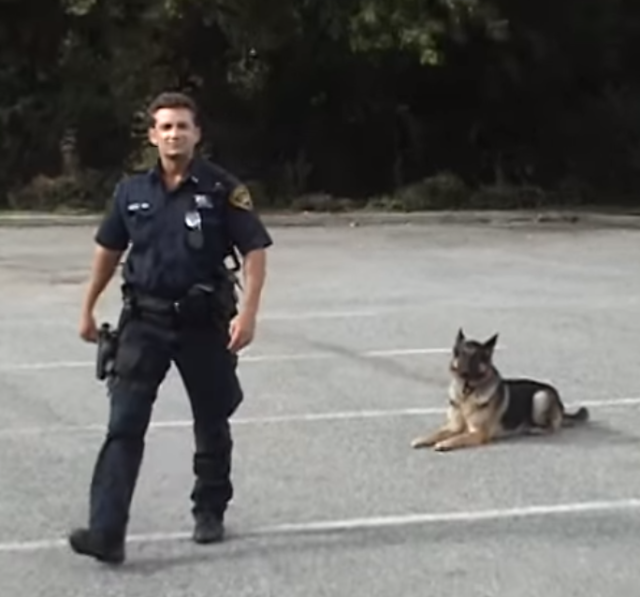 This Police Dog Will Blow Your Mind In 20 Seconds Flat