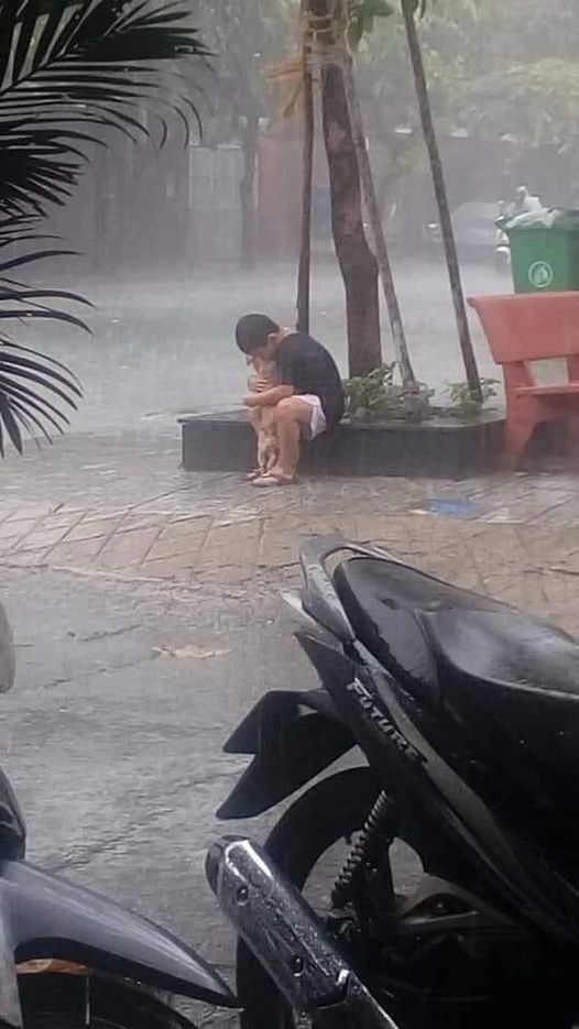 A heartwarming story: A boy bravely holds his dog in the rain, melting the hearts of millions