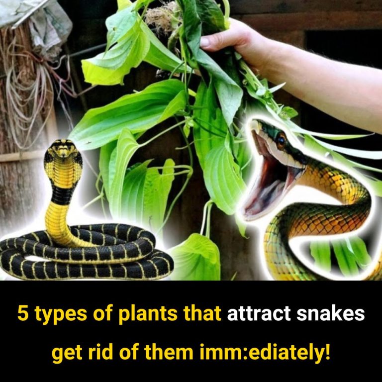 Uproot These Plants Immediately