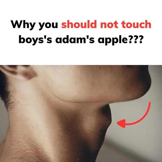Why you should not touch boys’s adam’s apple???