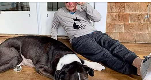 Michael J. Fox Has Sad News