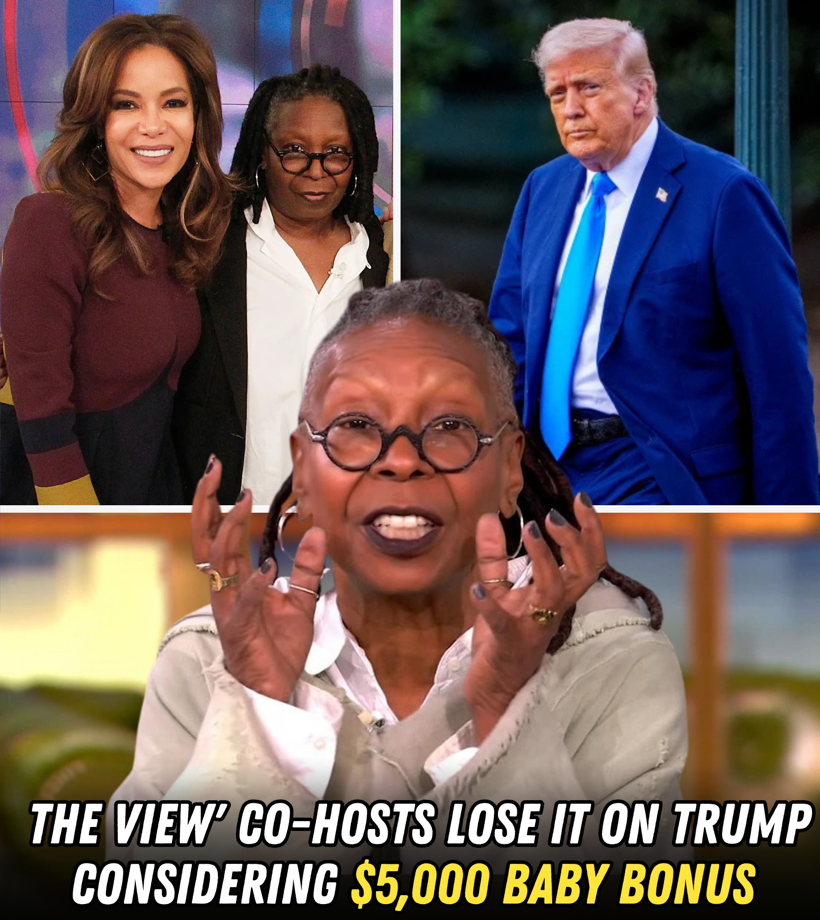 ‘The View’ hosts criticize President Trump for the idea of giving expecting mothers a $5k bonus