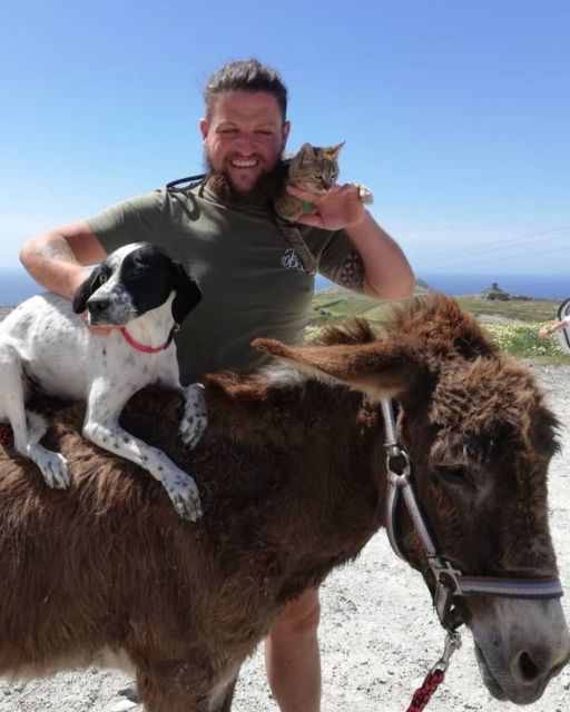 I MOVED TO ESCAPE PEOPLE—BUT THESE THREE ANIMALS WON’T LET ME STAY HIDDEN