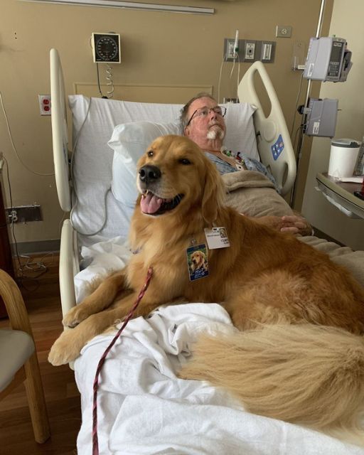THE THERAPY DOG JUMPED ON HIS BED—AND THAT’S WHEN HE FINALLY SPOKE
