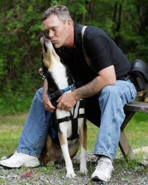 HE WAS JUST A STRAY I RESCUED—BUT TODAY HE REVEALED SOMETHING I CAN’T UNSEE