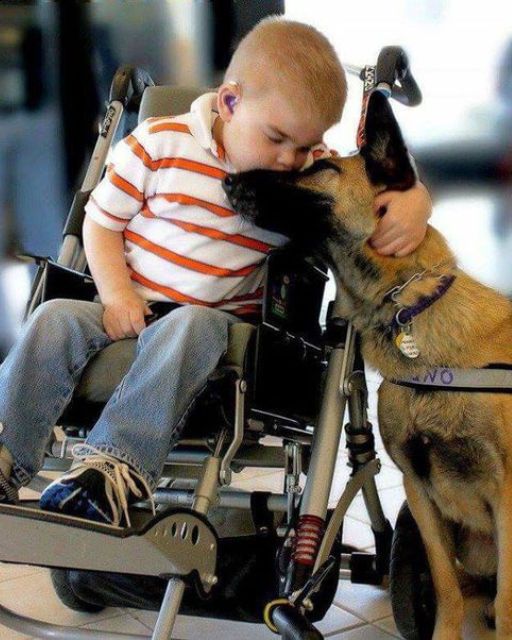 MY SON CAN’T SPEAK—BUT HIS SERVICE DOG KNEW EXACTLY WHAT HE WAS TRYING TO SAY