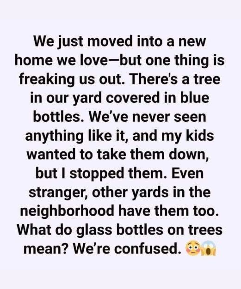 The Hidden Meaning Behind Glass Bottle Trees