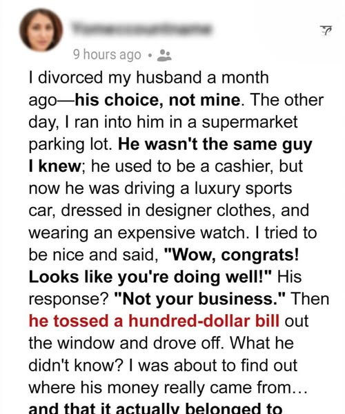 I DIVORCED MY HUSBAND—AND THEN DISCOVERED THE FORTUNE HE STOLE WAS MINE