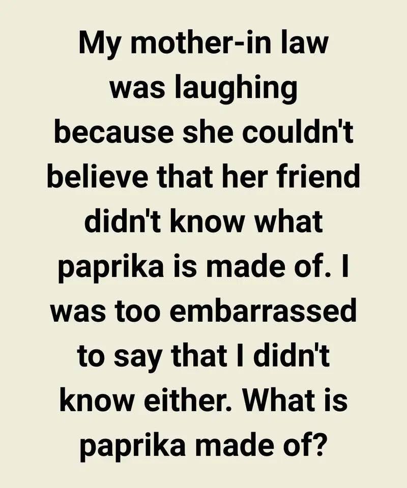 MY MOTHER-IN-LAW’S LAUGHTER UNCOVERED A SECRET I NEVER SAW COMING