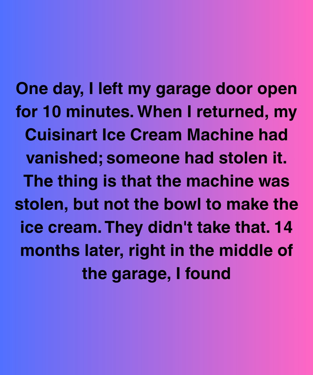 The Ice Cream Thief Came Back… But Not For What I Expected