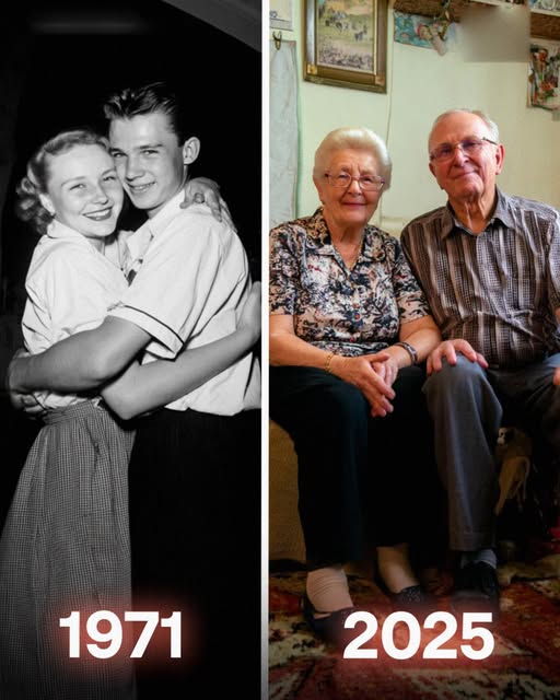 My Aunt Stole the Money Meant for My Grandparents’ Dream Wedding – She Never Expected What Was Coming My Aunt Stole the Money Meant for My Grandparents’ Dream Wedding – She Never Expected What Was Coming