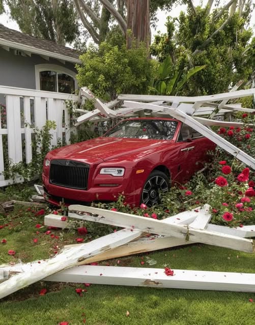 Wealthy Man Refused to Repair My Fence After Damaging It — What I Discovered in My Yard the Next Day Left Me Stunned