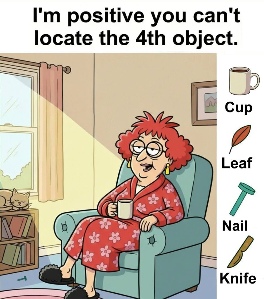 I’m positive you can’t find the 4th object in this living room!